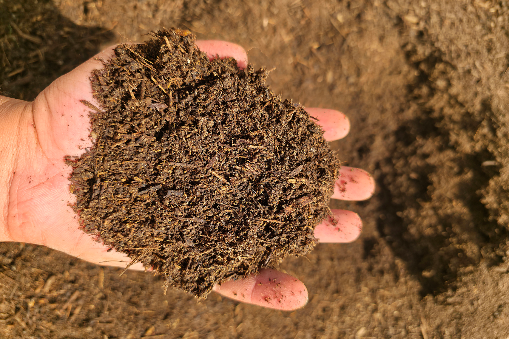 Mawared Baladi organic compost held in hand