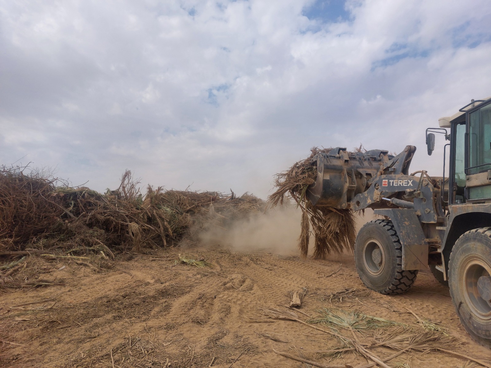 Wheel loader collecting palm fronds and landscape waste