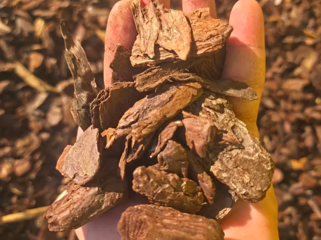 Organic mulch