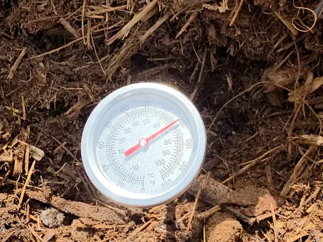 Temperature probe reading a maturing compost windrow